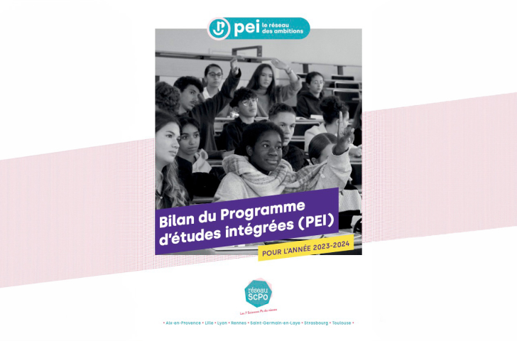 Vignette Actu - Bilan PEI